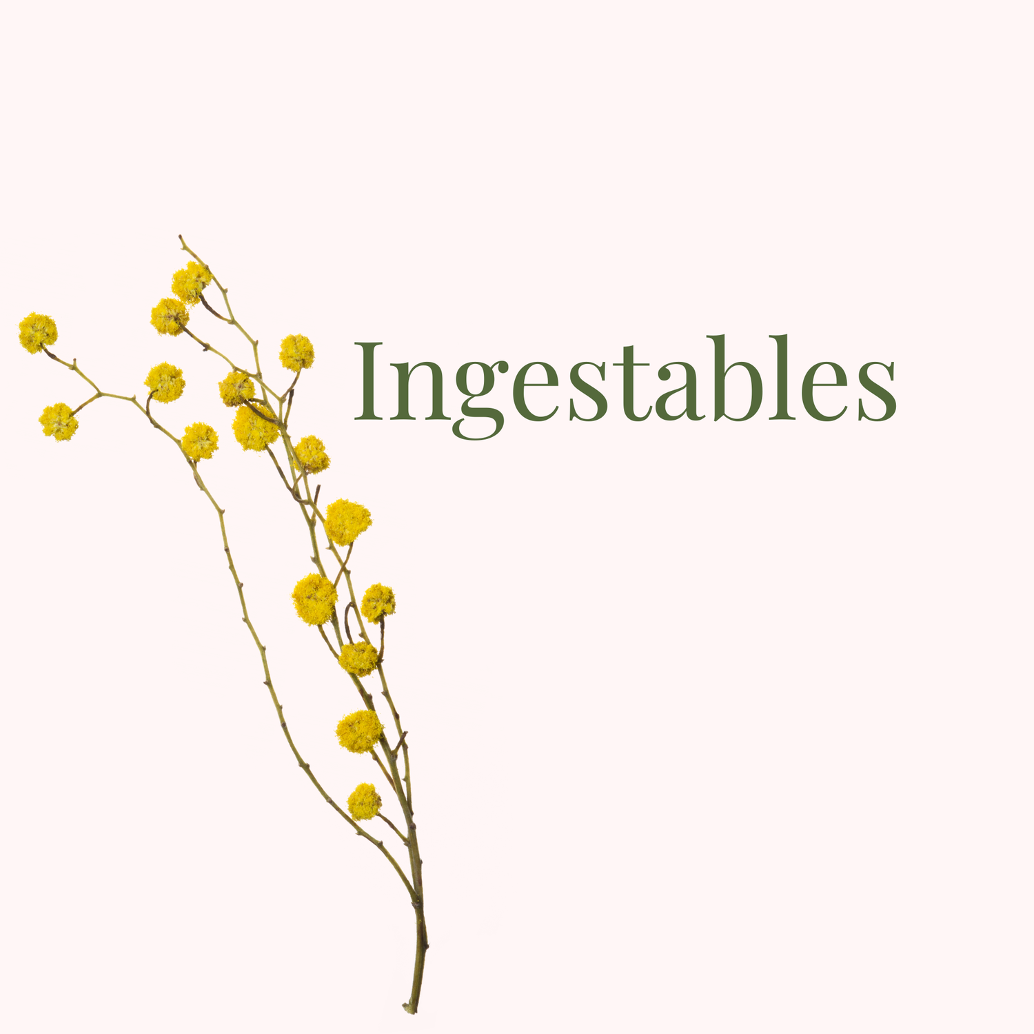 Ingestables